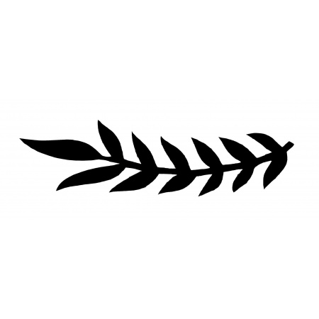 gsb17-300_leaf