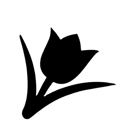 gsb17-31200_spring_tulip