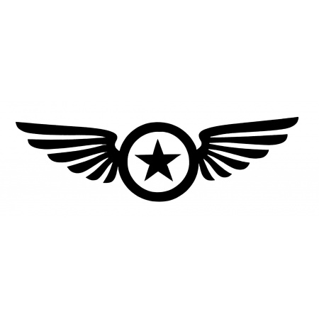 gsb17-55101_star_wing